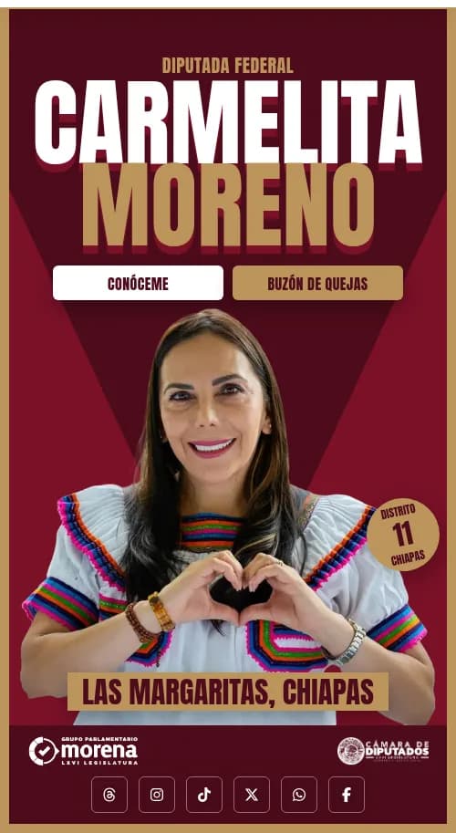 Carmelita Moreno, Diputada Federal: Inicio en móvil